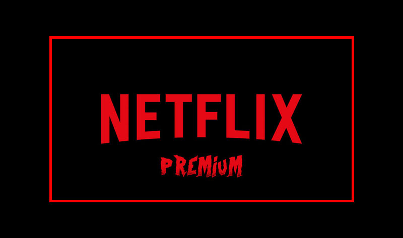 Netflix Premium Subscription (1 Month)