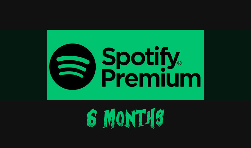 Spotify Premium Individual (6 Month)