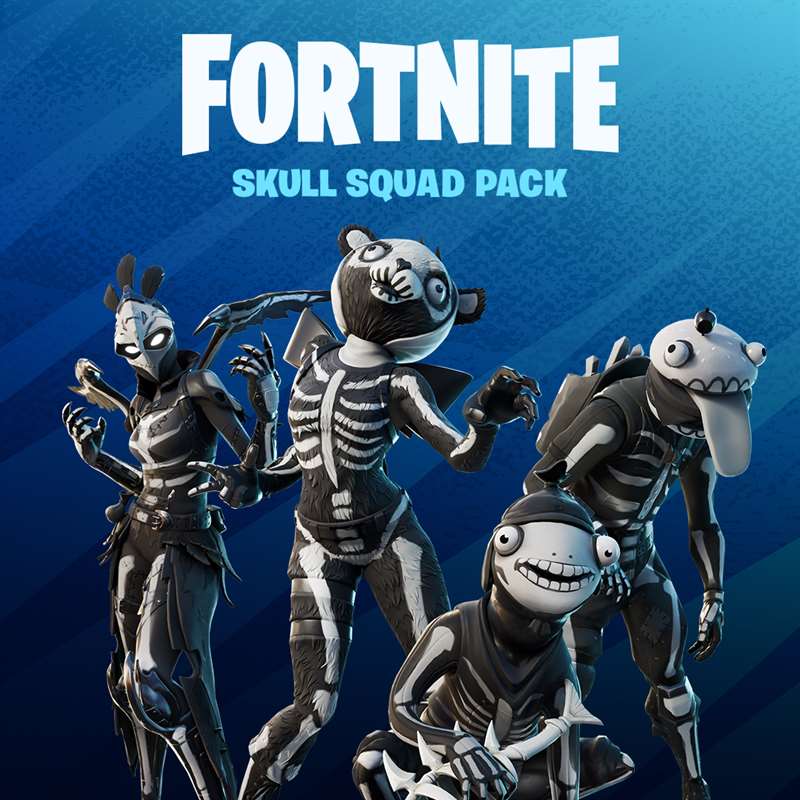 Fortnite - Skull Squad Pack